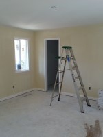 Atlanta Remodeling - Paint Work